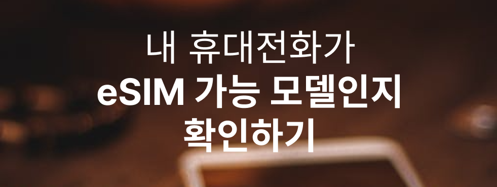 eSIM 가이드 2